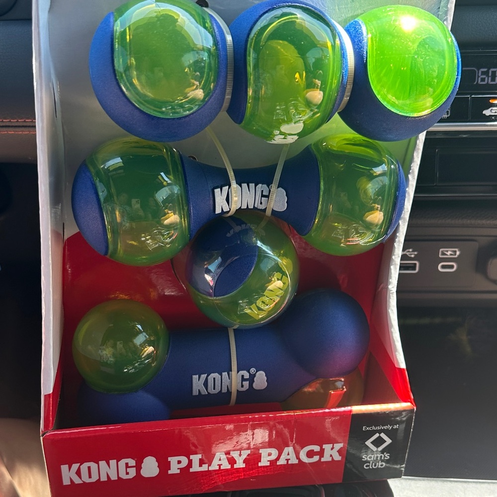KONG Play Pack Toy - Blue and Green